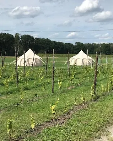 Glamping Natuur-like Glamping In Bosland *