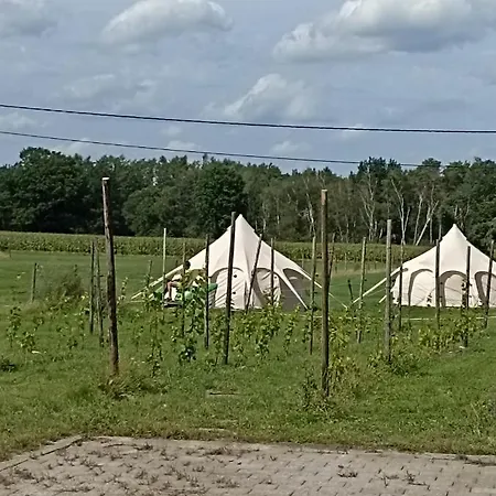 Natuur-like Glamping In Bosland Glamping Neerpelt