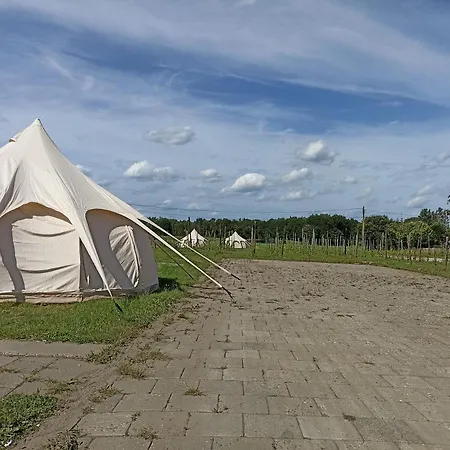 Natuur-like Glamping In Bosland Glamping *