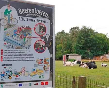 Natuur-like Glamping In Bosland Glamping Neerpelt
