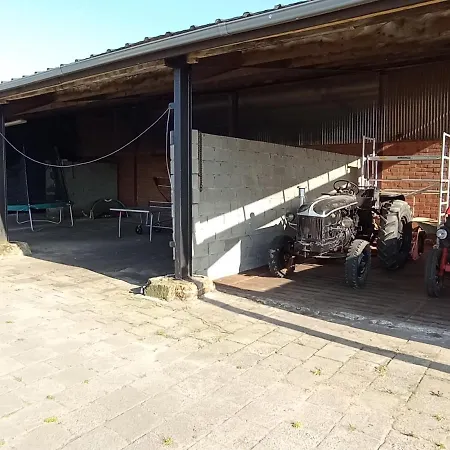 Natuur-like Glamping In Bosland *