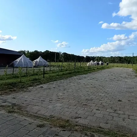Natuur-like Glamping In Bosland Glamping